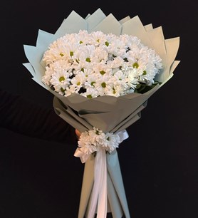 Konya Papatya Gönder